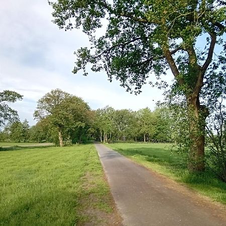 Ruim Huisje Op Een Prachtige Plek Hemrik Exterior foto
