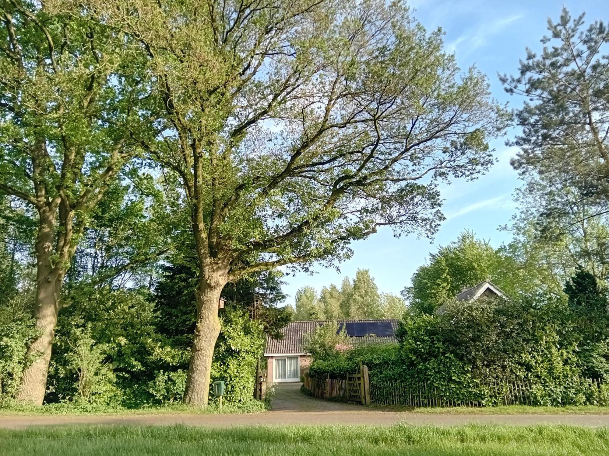 Ruim Huisje Op Een Prachtige Plek Hemrik Exterior foto
