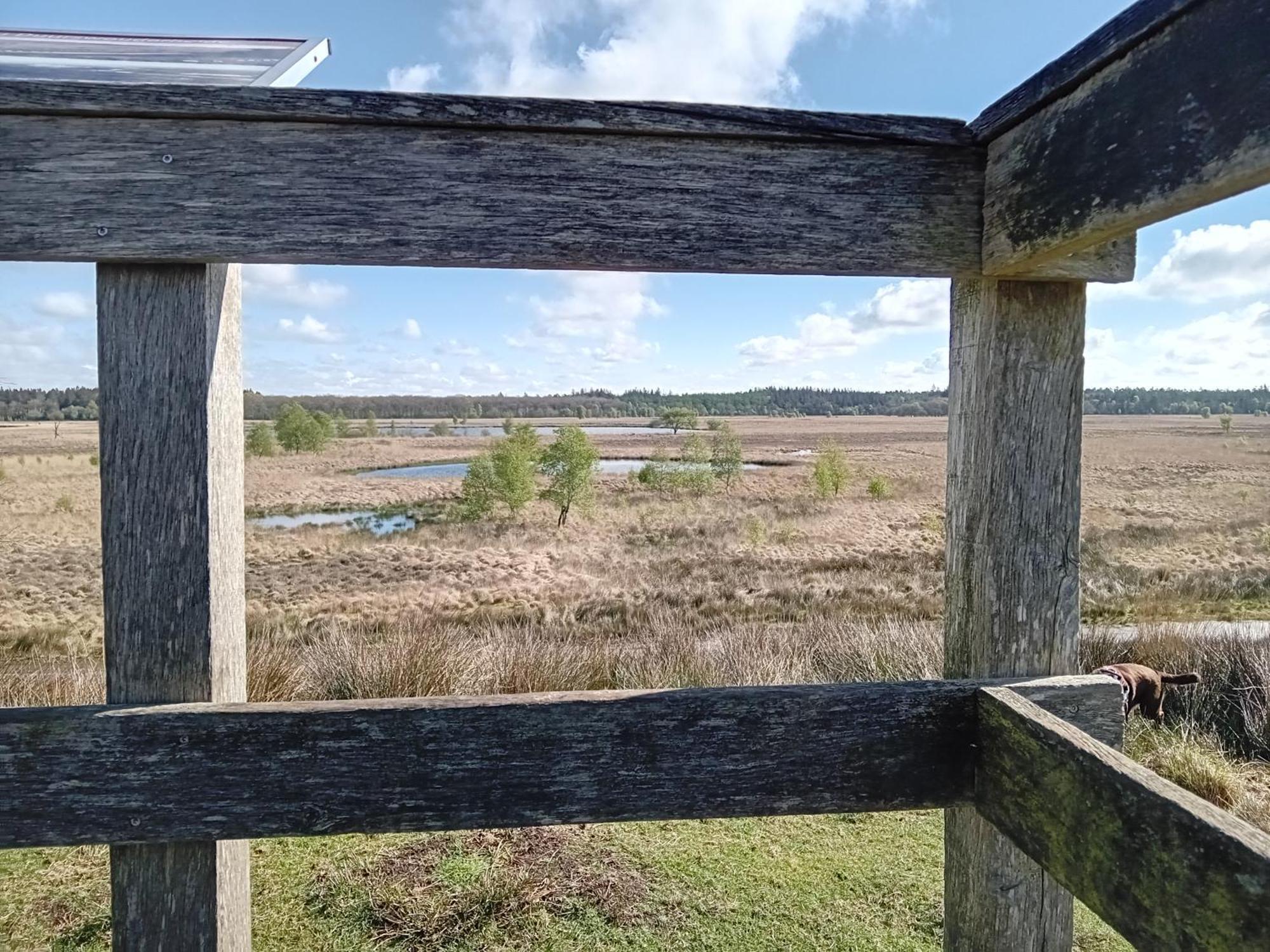 Ruim Huisje Op Een Prachtige Plek Hemrik Exterior foto