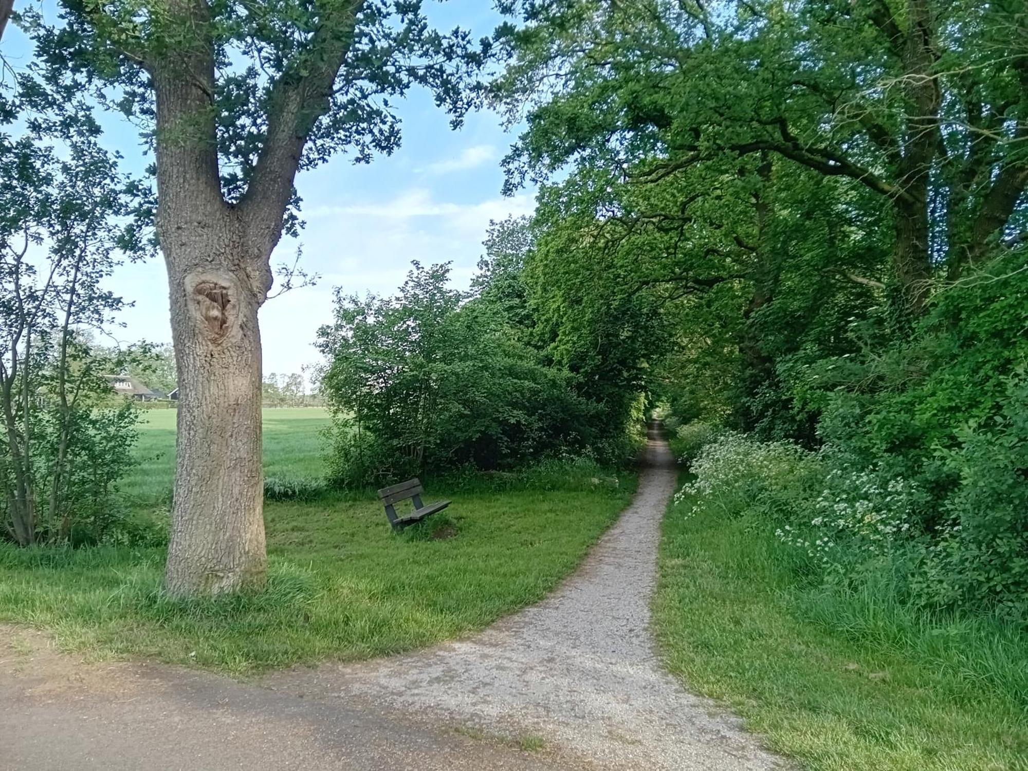 Ruim Huisje Op Een Prachtige Plek Hemrik Exterior foto
